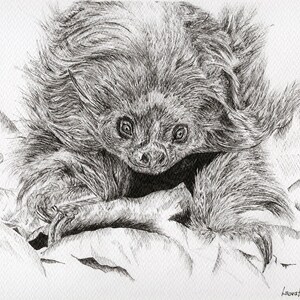 Sloth print, animal print, high quality print, limited edition, unique gift, wildlife print, wild art, animal gift, animal print, sloth art