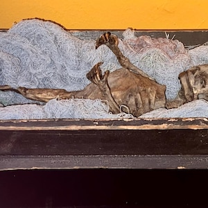 May include: A dark wooden cradle holds a mummified creature, resting on blue netting. The creature has a brown, leathery appearance with visible limbs and a distinct head. The cradle is painted black with a distressed finish.