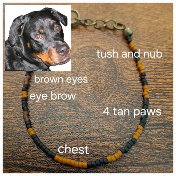 Yorkie Can't Buy Love Bangle Yorkie Can't Buy Love Bangle