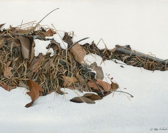 White Toed Mice: Two mice find refuge in the leaves and twigs in this snow scene.
