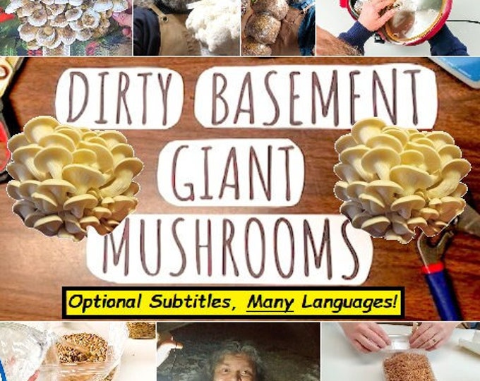 Learn to Grow Mushrooms in 29 Languages! Video: Dirty Basement, Giant Mushrooms - Secrets of Growing Anywhere