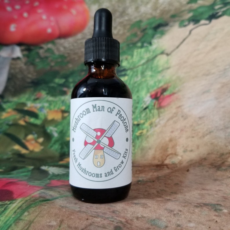 2 oz Lion's Mane Organic Double Extraction Tincture image 2