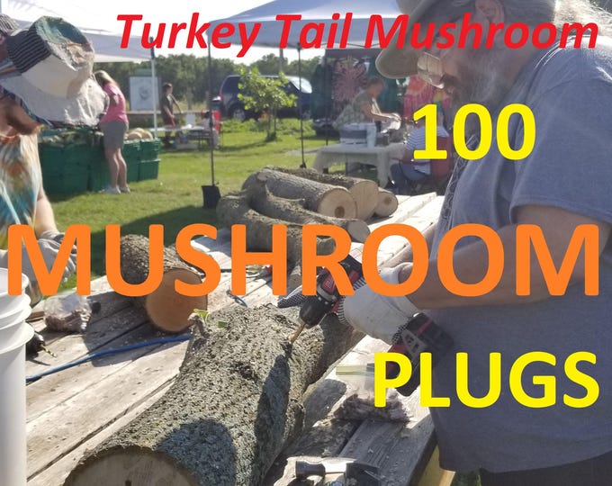 Mushroom Plugs 100 pack, Turkey Tail mushroom