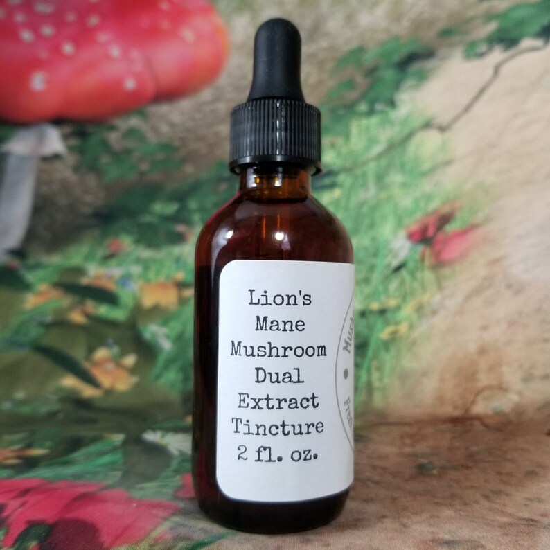 2 oz Lion's Mane Organic Double Extraction Tincture image 4