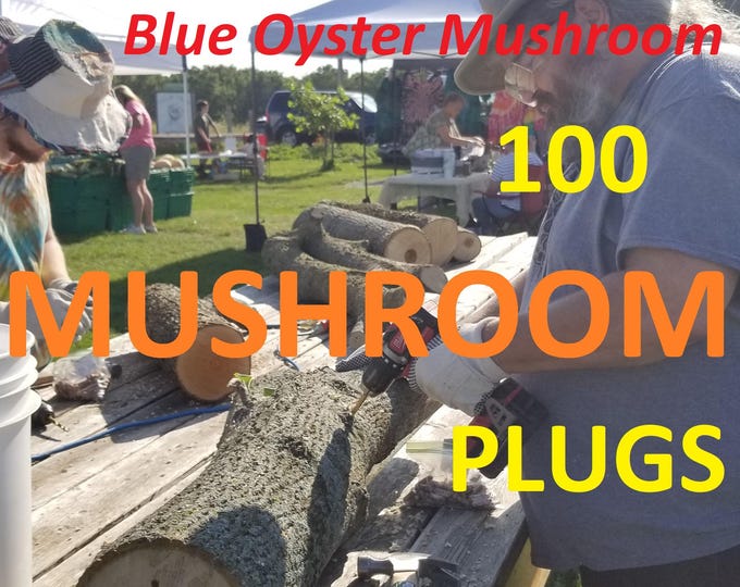 Mushroom Plugs 100 pack, Blue Oyster