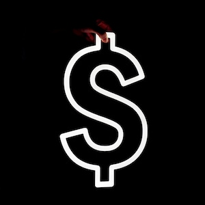 Dollar Money neon sign Dollar symbol LED neon light