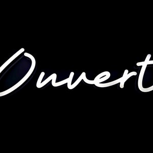 Ouvert sign LED OPEN Neon Sign for Business Store French Open Sign enseigne ouverte au néon