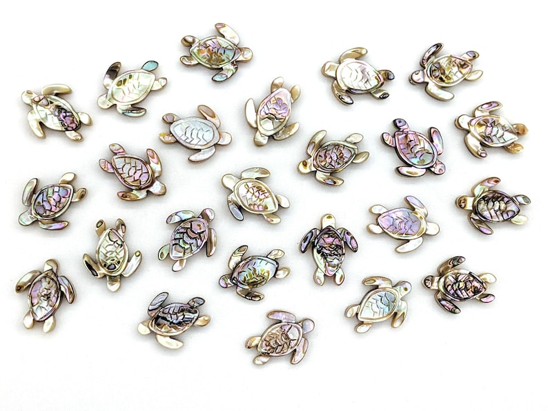 Abalone Carved Sea Turtle Shell Single Bead - 20mm - Itty Bitty Bead ...