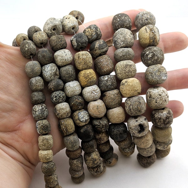 Stegodon bone fossil beads 7" strand - itty bitty bead bus - several sizes - 9mm 10mm 11mm 12mm 13mm 14mm 15mm 16mm 17mm 18mm genuine