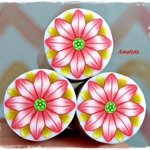 Peut inclure: Trois objets ronds et blancs avec un motif floral. Chaque fleur a des pétales roses, un centre vert et des accents jaunes. Le texte "Amatista" est visible dans l'image.