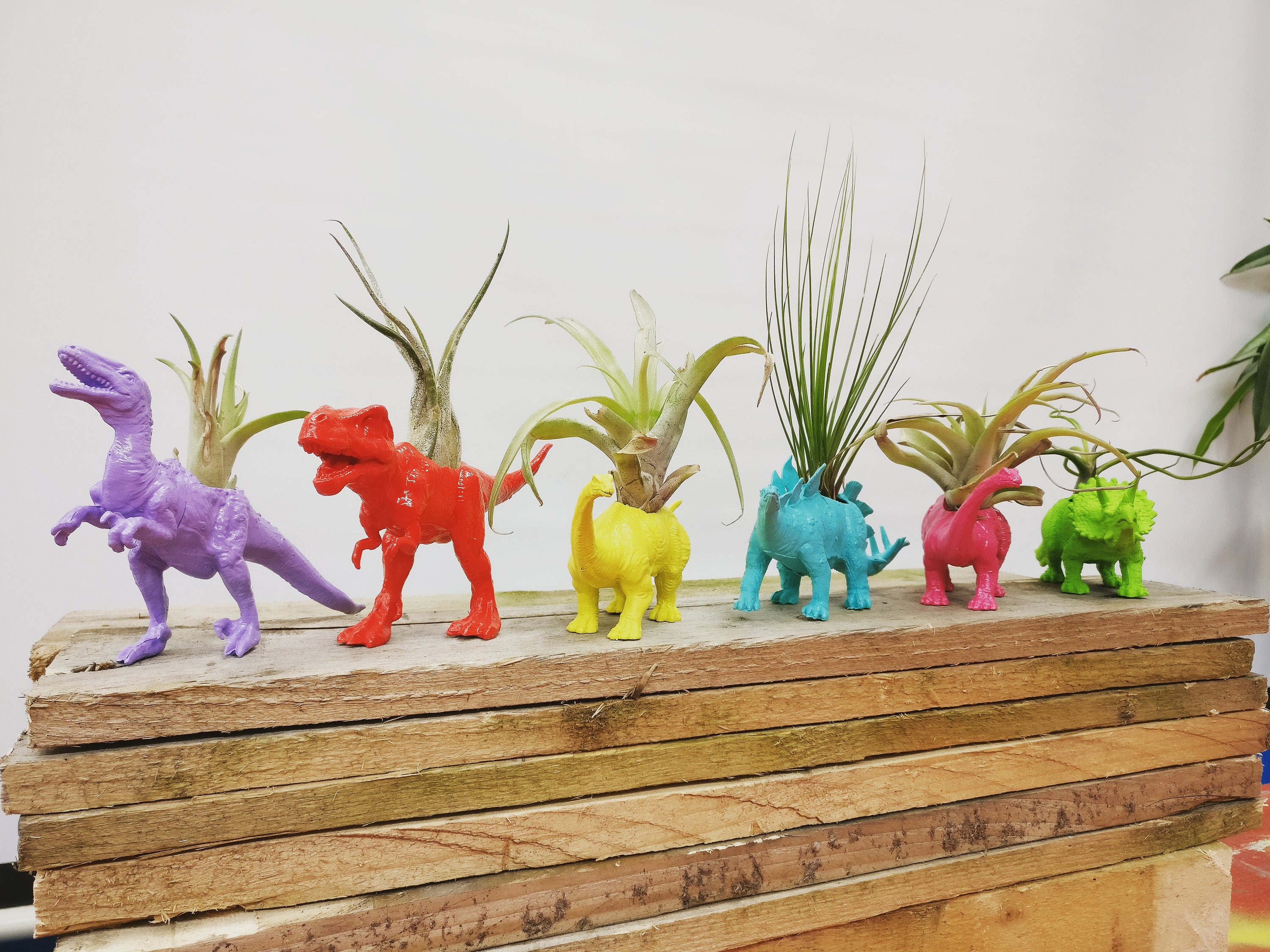 Custom Dinosaur Planter Dino Plant Pot Home Decor Etsy