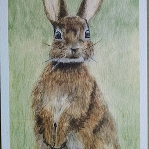 Bunny Rabbit - Original Watercolor Painting Print - Easter, Cottontail - Printed on 140# Canson watercolor paper. 5x7 Print
