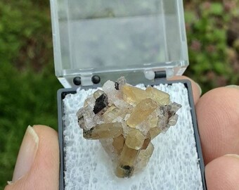 FLUORAPATITE THUMBNAIL SPECIMEN