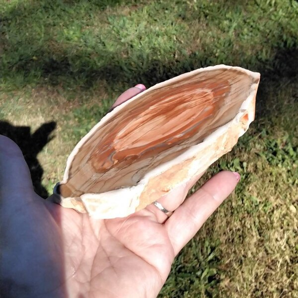 RIBBON AGATE DISPLAY specimen