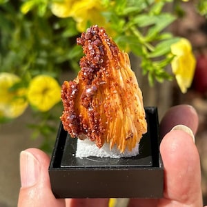 VANADINITE ON BARITE