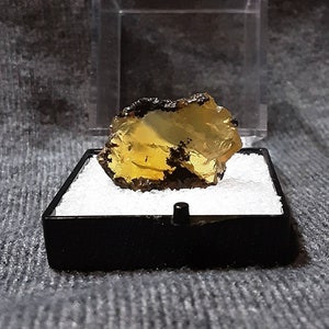 May include: A yellow and brown rough gemstone in a small black display box with white padding.
