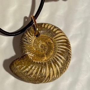 FOSSILIZED AMMONITE NECKLACE
