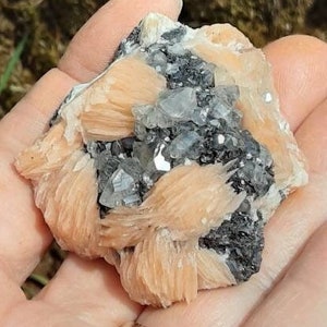 May include: A cluster of pink and white crystals with a gray, metallic base. The crystals are arranged in a layered, fan-like pattern.