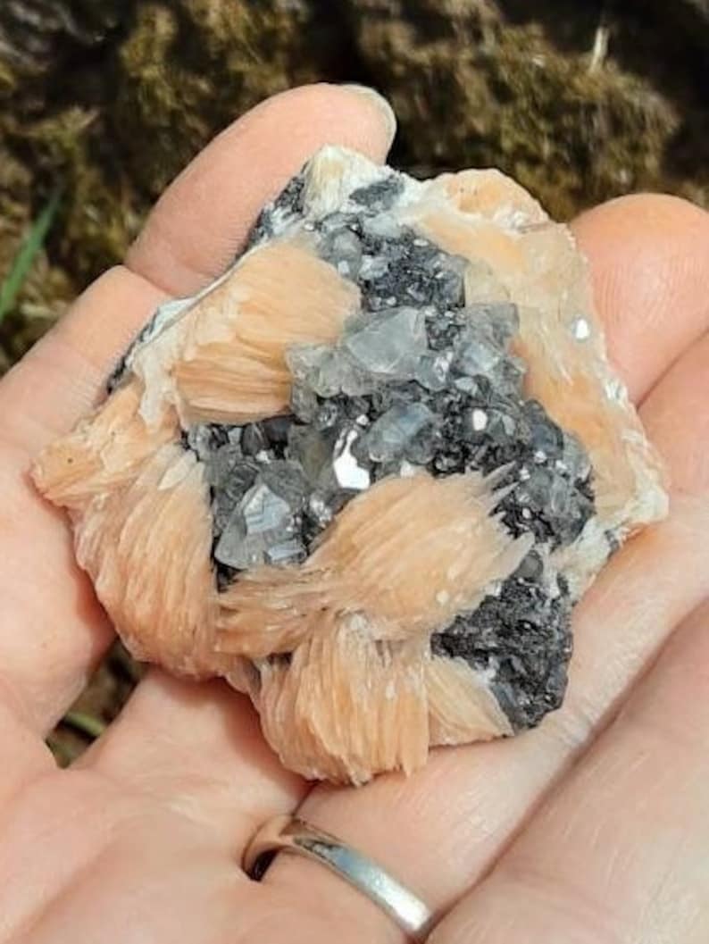 May include: A cluster of pink and white crystals with a gray, metallic base. The crystals are arranged in a layered, fan-like pattern.