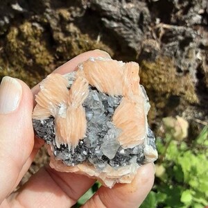 May include: A cluster of pink and white crystals with a gray, metallic base. The crystals are arranged in a fan-like pattern.