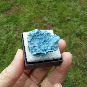CHRYSOCOLLA and SHATTUCKITE THUMBNAIL specimen