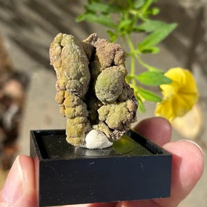 MIMETITE SPECIMEN