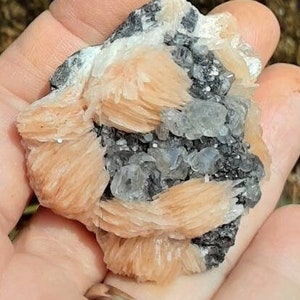 May include: A cluster of pink and white barite crystals with a gray, sparkly matrix. The crystals are arranged in a fan-like pattern.