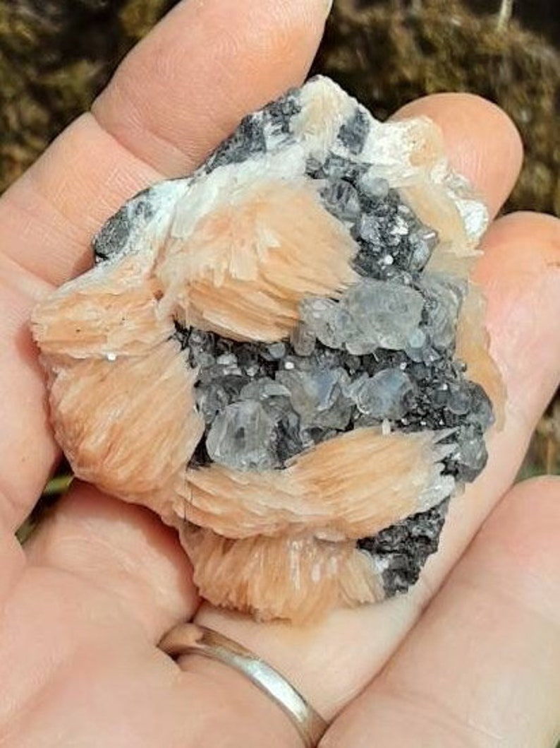 May include: A cluster of pink and white barite crystals with a gray, sparkly matrix. The crystals are arranged in a fan-like pattern.