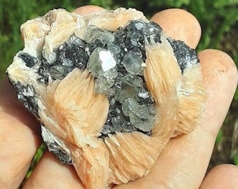 May include: A cluster of light brown barite crystals with green and black inclusions. The crystals are arranged in a fan-like shape and have a smooth, polished surface.