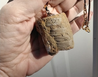 FOSSILIZED CRINOID STEMS necklace