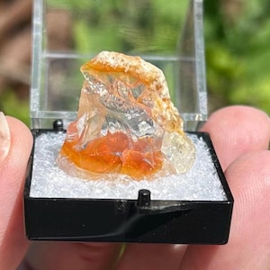 OPAL BUTTE OPAL specimen