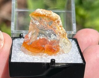 OPAL BUTTE OPAL specimen