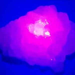 May include: A large, white, crystalline rock with a pink glow under a black light. The rock has a rough, textured surface and a large, flat, white area in the center.