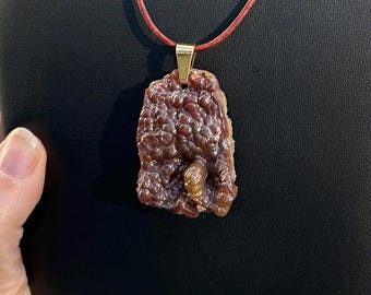 FOSSILIZED AGATIZED CORAL necklace