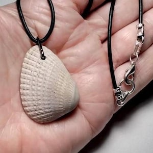 FOSSILIZED CLAM NECKLACE