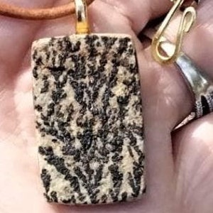 May include: A gold pendant necklace with a rectangular brown and white stone pendant. The stone has a unique pattern of black and white swirls.