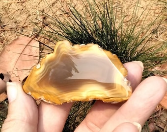 CARNELIAN  AGATE DISPLAY specimen