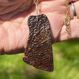May include: A brown, textured, irregularly shaped pendant hangs from a gold chain. The pendant is a unique and organic shape, reminiscent of a piece of natural stone.