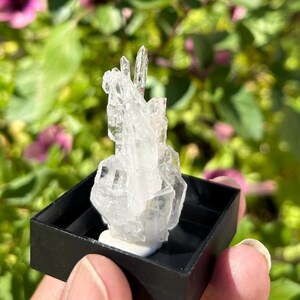 FADEN QUARTZ MINIATURE specimen
