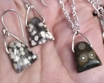 OCEAN JASPER NECkLACE and earring set