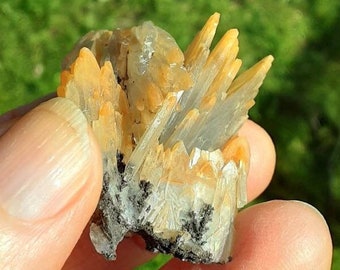 May include: A cluster of clear quartz crystals with a light orange hue. The crystals are clustered together in a natural formation, with some of the crystals pointing upwards.