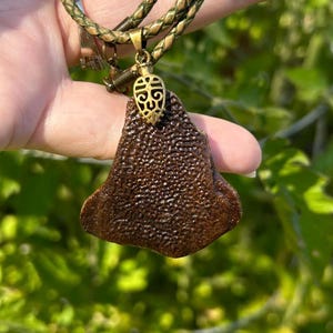 May include: A brown pendant necklace with a textured surface and a gold-colored decorative element. The necklace has a braided green cord. The background is a blurred view of green foliage.