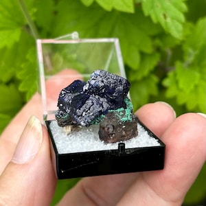 AZURITE CRYSTALS THUMBNAIL specimen