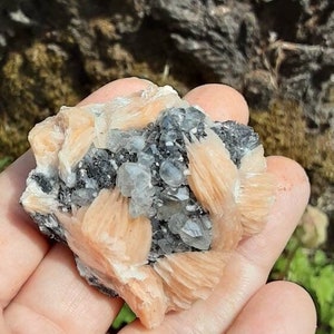 May include: A cluster of pink and white celestite crystals with black inclusions. The crystals are clustered together in a rough, natural formation.