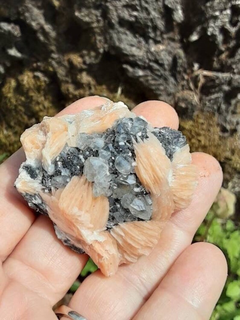 May include: A cluster of pink and white celestite crystals with black inclusions. The crystals are clustered together in a rough, natural formation.