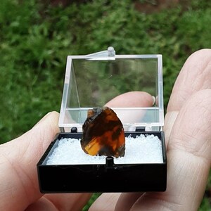 May include: A small, dark brown and orange gemstone in a clear plastic box with a black lid. The box is sitting on a hand.