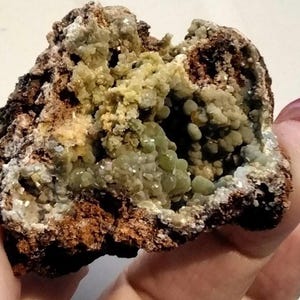 MIMETITE CRYSTALS in LIMONITE matrix