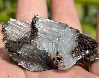 May include: A raw, translucent light blue mineral specimen with a striated, crystalline structure. The crystal features jagged edges and is partially embedded in a dark, textured, earthy matrix with small, metallic-looking brown inclusions.