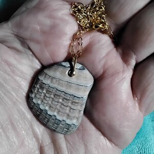 FOSSILIZED SHELL necklace from OREGON