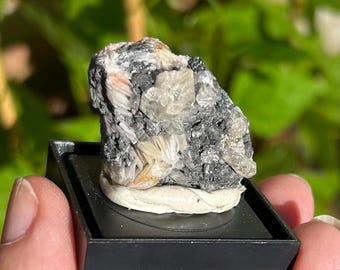 May include: A small, gray, and white mineral specimen with a pink hue. The specimen is mounted on a black square base.